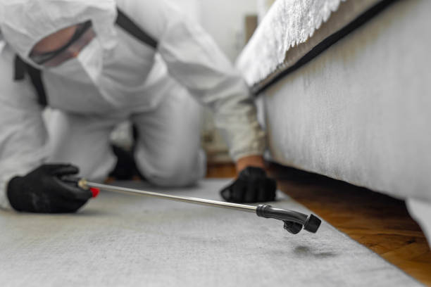 Professional Cockroach Control technician working in Sebewaing, MI