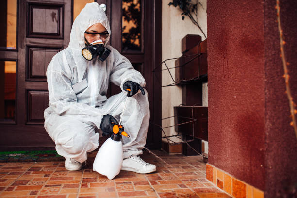 Reliable Cockroach Control contractor in Sebewaing, MI by Nex Pest Control